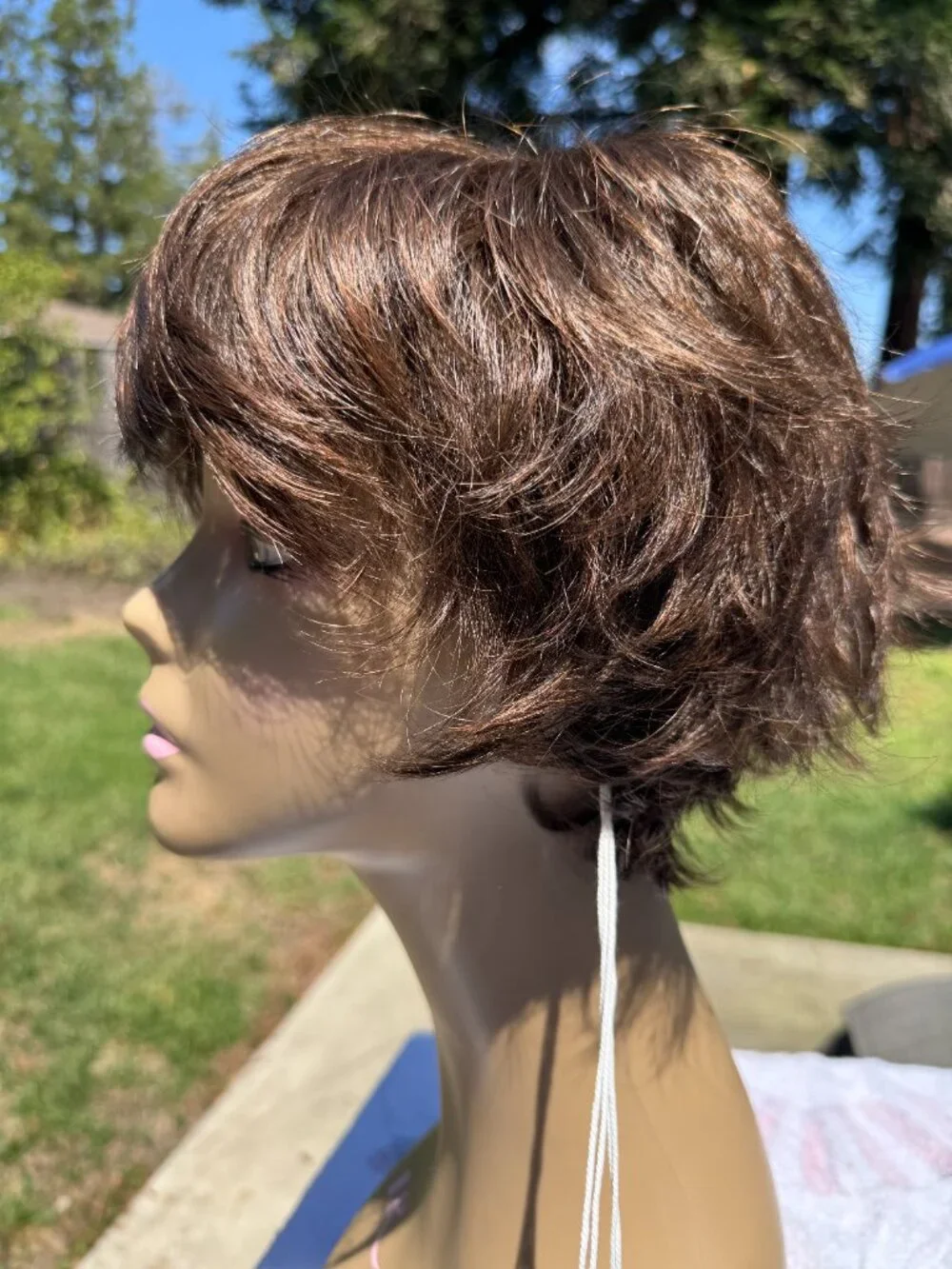Rene of Paris Wig
